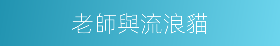 老師與流浪貓的同義詞
