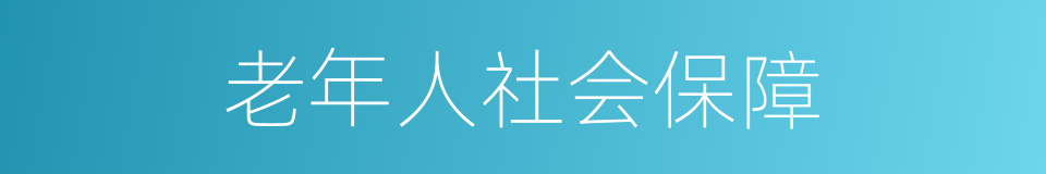 老年人社会保障的同义词