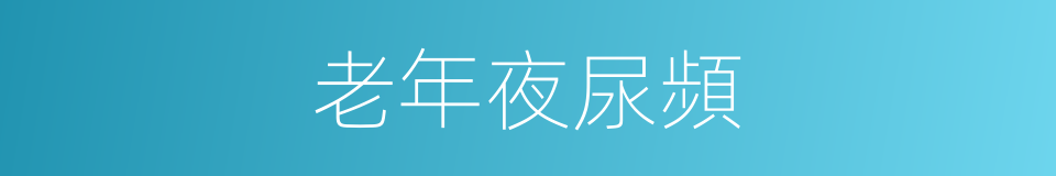 老年夜尿頻的同義詞