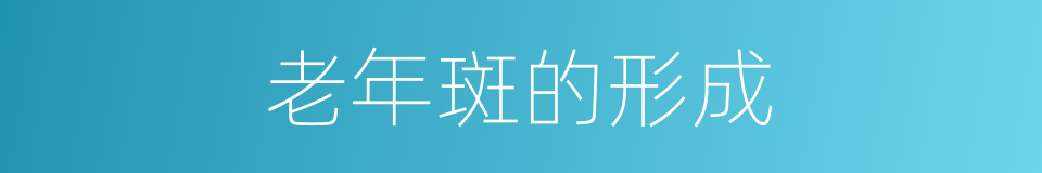老年斑的形成的同义词