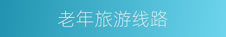 老年旅游线路的同义词