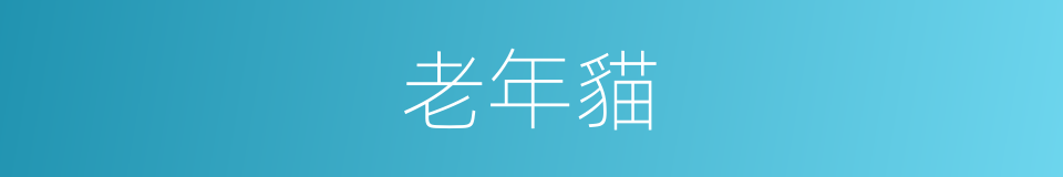 老年貓的同義詞