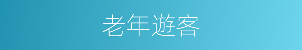 老年遊客的同義詞