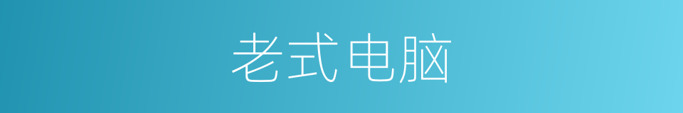 老式电脑的同义词