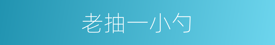 老抽一小勺的同义词