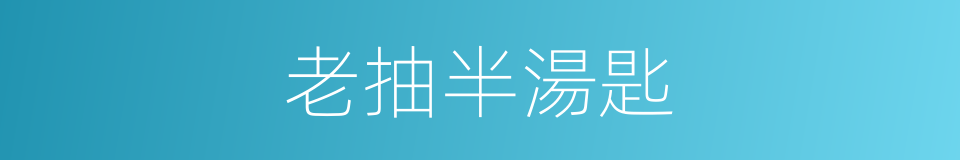 老抽半湯匙的同義詞
