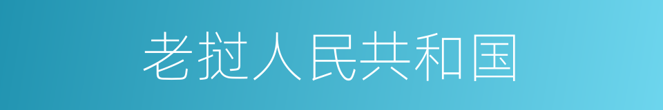 老挝人民共和国的同义词