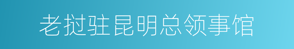老挝驻昆明总领事馆的同义词