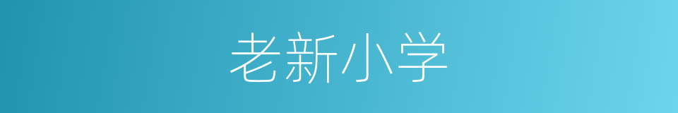 老新小学的同义词