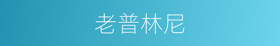老普林尼的同义词