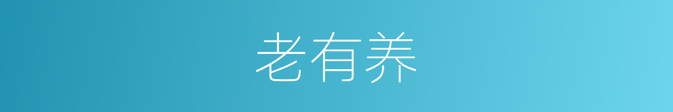 老有养的同义词