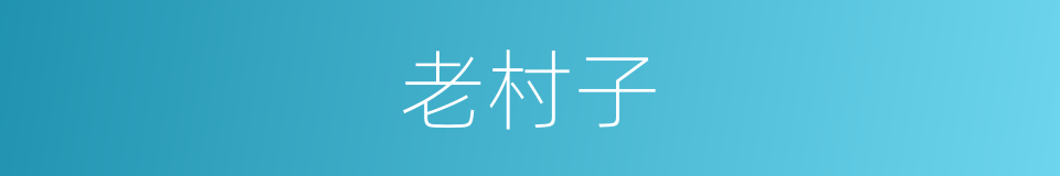 老村子的同义词