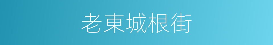 老東城根街的同義詞