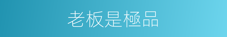 老板是極品的同義詞