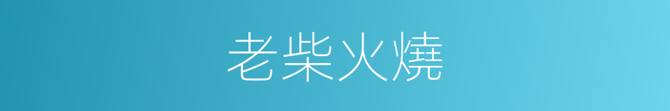 老柴火燒的同義詞