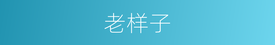 老样子的意思