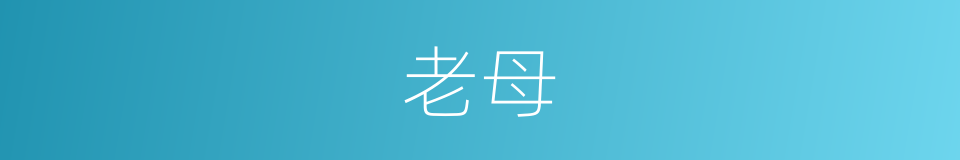 老母的意思