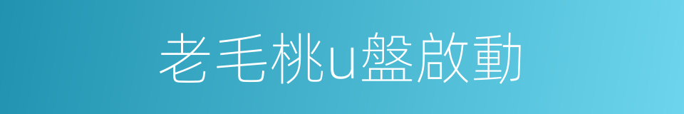 老毛桃u盤啟動的同義詞