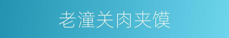 老潼关肉夹馍的同义词