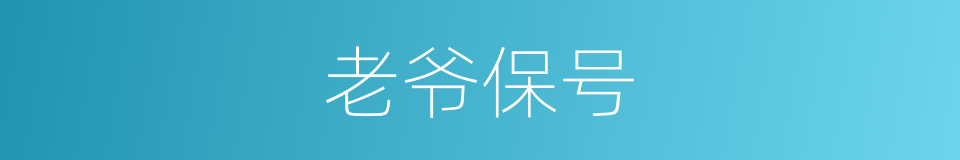 老爷保号的同义词