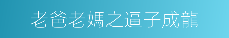 老爸老媽之逼子成龍的同義詞