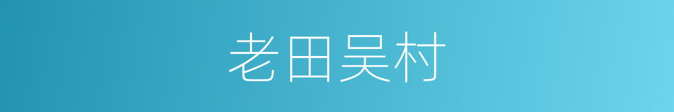 老田吴村的同义词