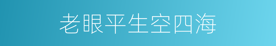 老眼平生空四海的同义词