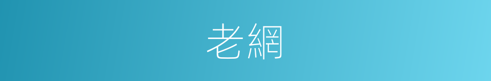 老網的同義詞