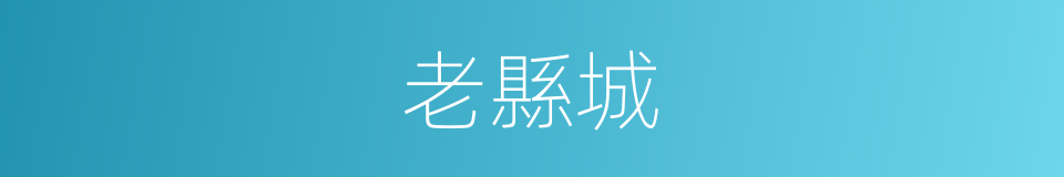老縣城的同義詞