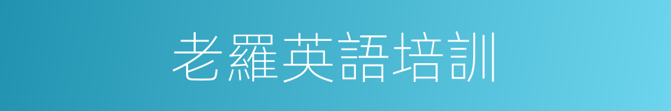 老羅英語培訓的同義詞