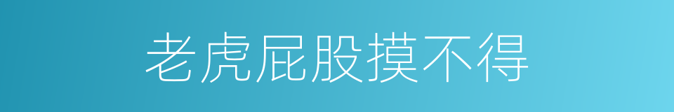 老虎屁股摸不得的意思