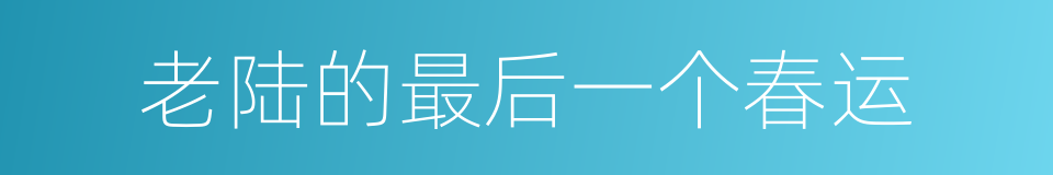 老陆的最后一个春运的同义词