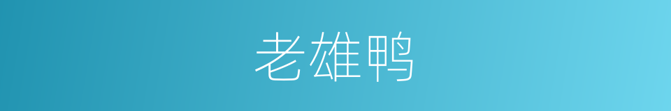 老雄鸭的同义词