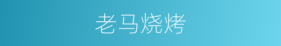 老马烧烤的同义词