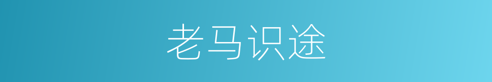老马识途的意思