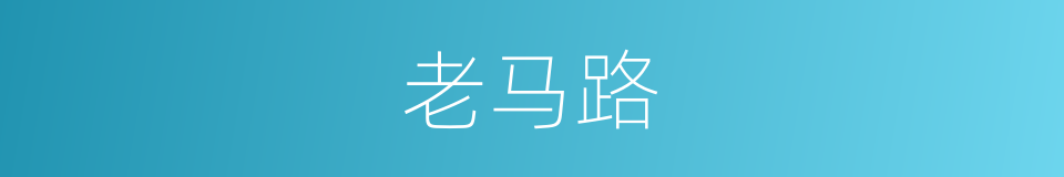 老马路的同义词