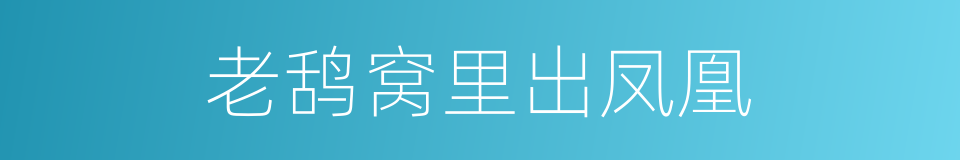 老鸹窝里出凤凰的意思