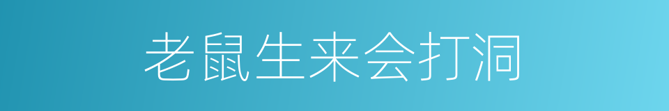 老鼠生来会打洞的同义词