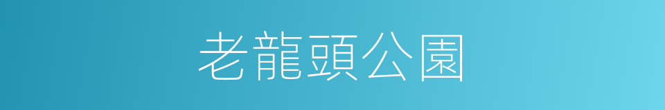 老龍頭公園的同義詞