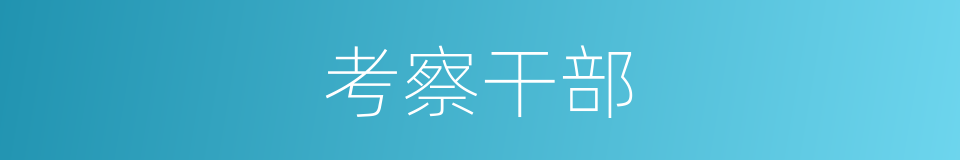 考察干部的同义词