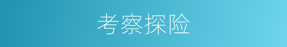 考察探险的同义词