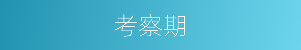 考察期的同义词