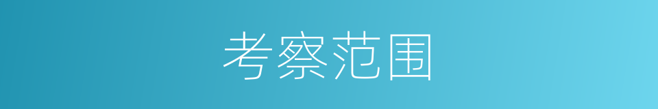 考察范围的同义词
