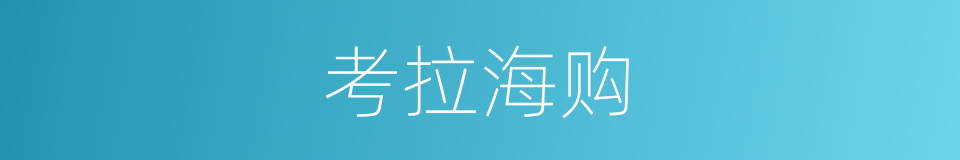 考拉海购的同义词