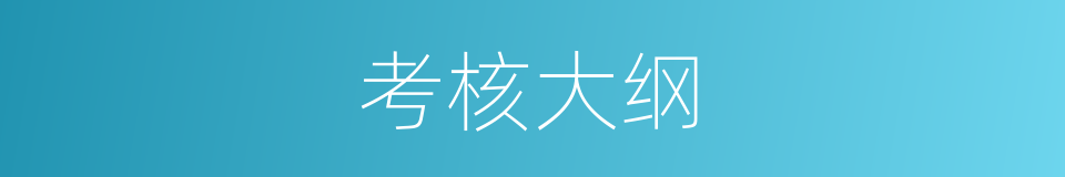 考核大纲的同义词