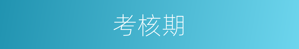 考核期的同义词