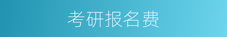 考研报名费的同义词
