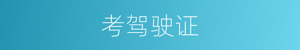 考驾驶证的同义词