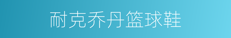 耐克乔丹篮球鞋的同义词