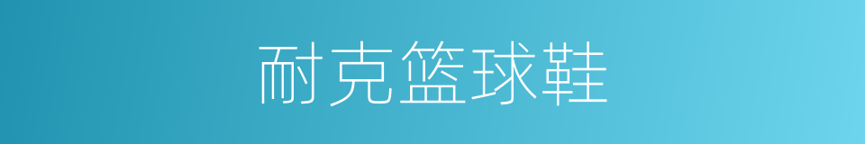 耐克篮球鞋的同义词